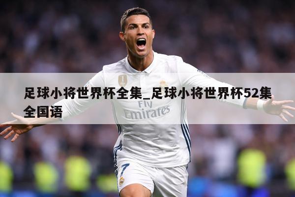 足球小将世界杯全集_足球小将世界杯52集全国语