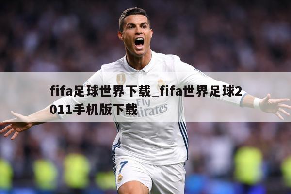 fifa足球世界下载_fifa世界足球2011手机版下载