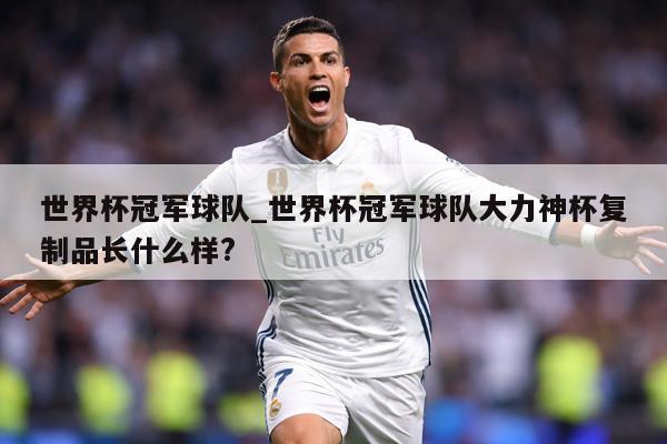 世界杯冠军球队_世界杯冠军球队大力神杯复制品长什么样?