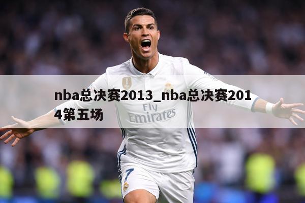 nba总决赛2013_nba总决赛2014第五场